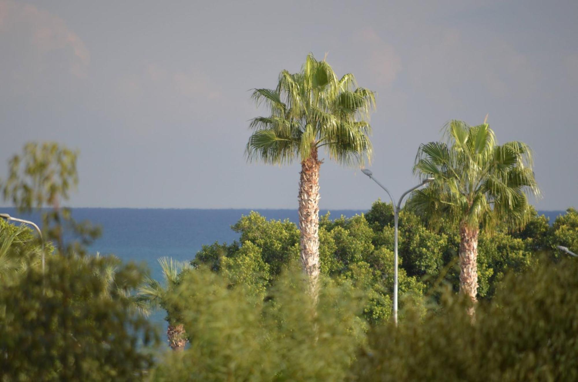 Modern Apartment Near Mckenzie Beach Λάρνακα Εξωτερικό φωτογραφία